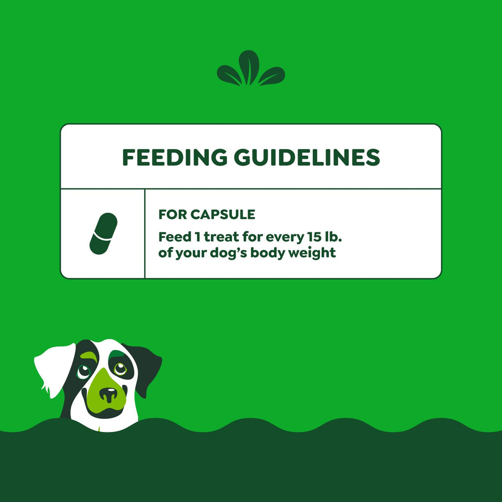 Greenies Pill Pockets Large Size Dog Treats, Peanut Butter, 7.9 oz