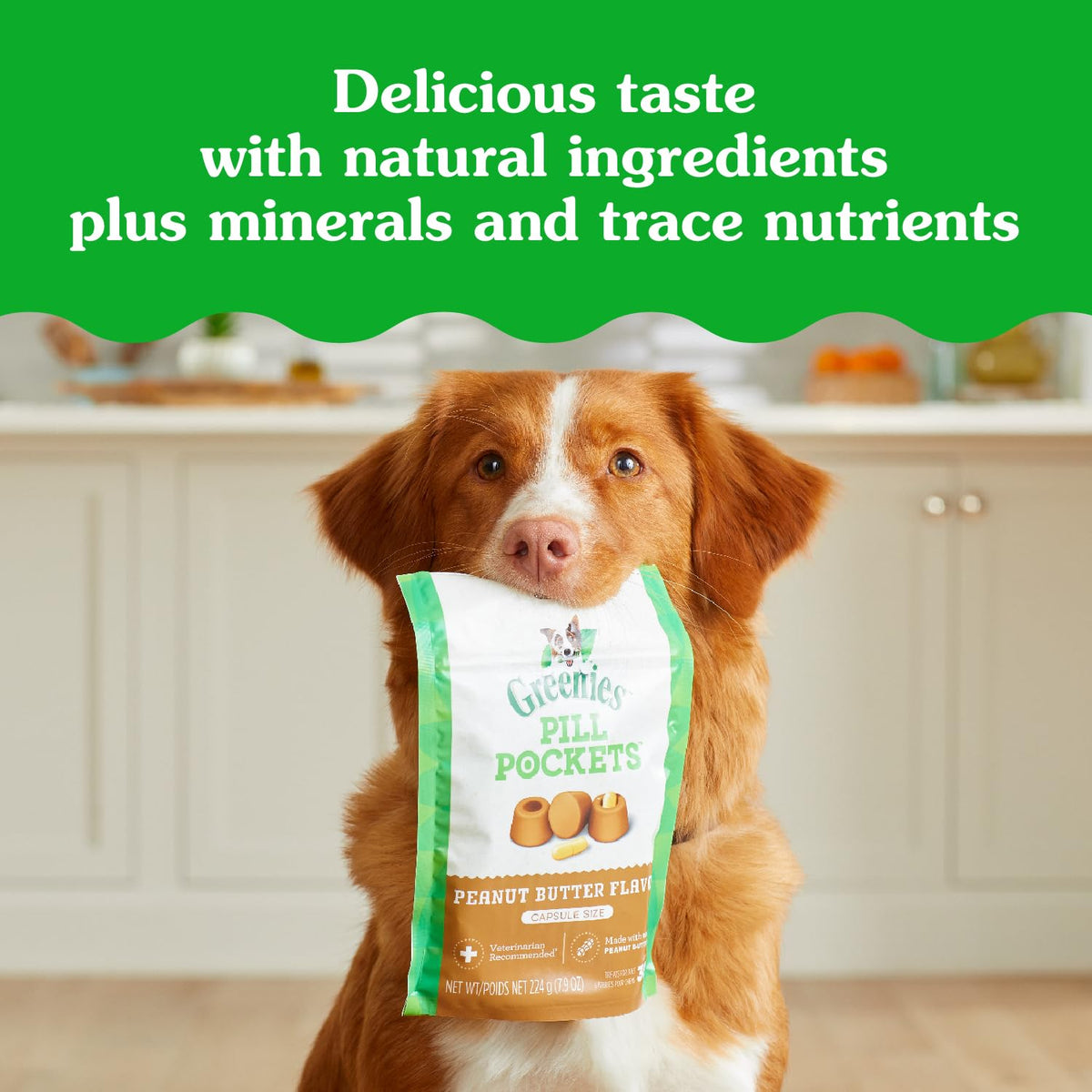 Greenies Pill Pockets Large Size Dog Treats, Peanut Butter, 7.9 oz