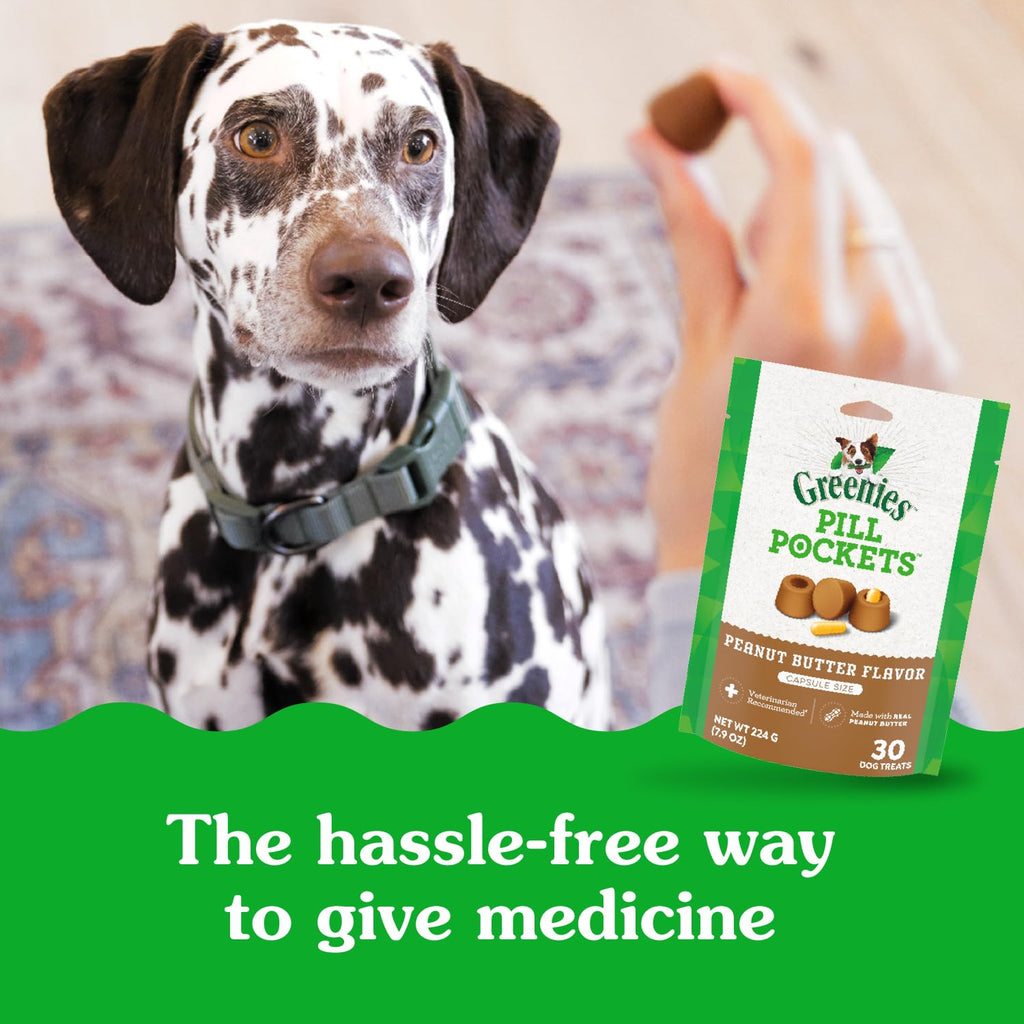Greenies Pill Pockets Large Size Dog Treats, Peanut Butter, 7.9 oz