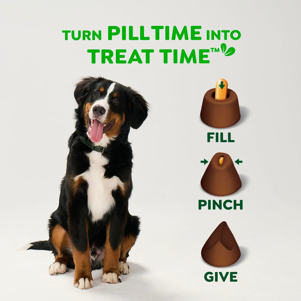 Greenies Pill Pockets Large Size Dog Treats, Peanut Butter, 7.9 oz
