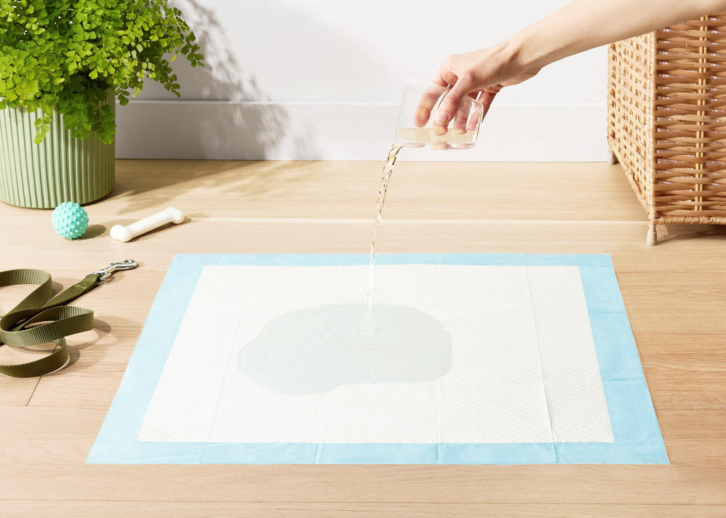 Amazon Basics Leak-Proof Dog and Puppy Potty Training Pee Pads with Quick-Dry 5-Layer Super Absorbent Design, Regular Size 22 x 22 inch, Blue & White, 100 Count