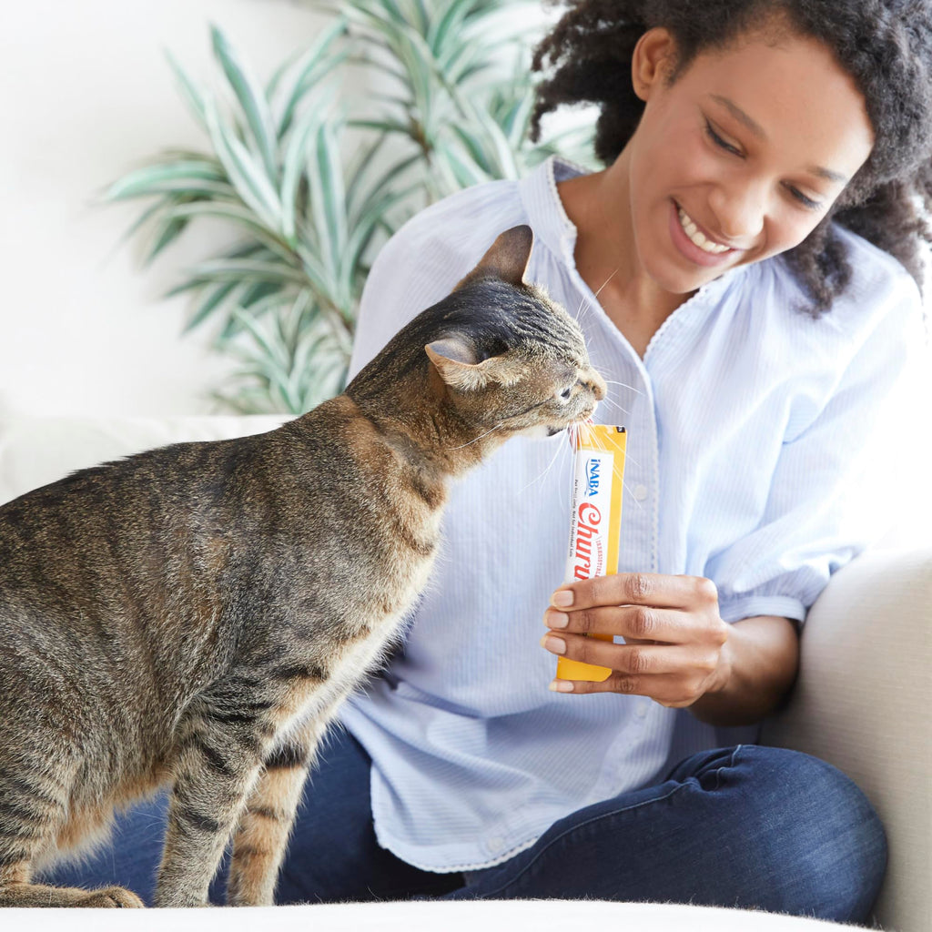 INABA Churu Cat Treats, Lickable, Squeezable Creamy Purée Cat Treat with Green Tea Extract & Taurine, 0.5 Ounces Each Tube, 20 Tubes, Chicken Variety Box