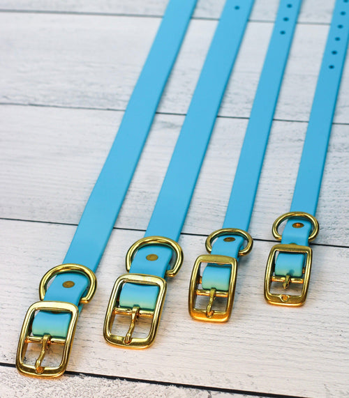 Blueberry Bliss Biothane Collar
